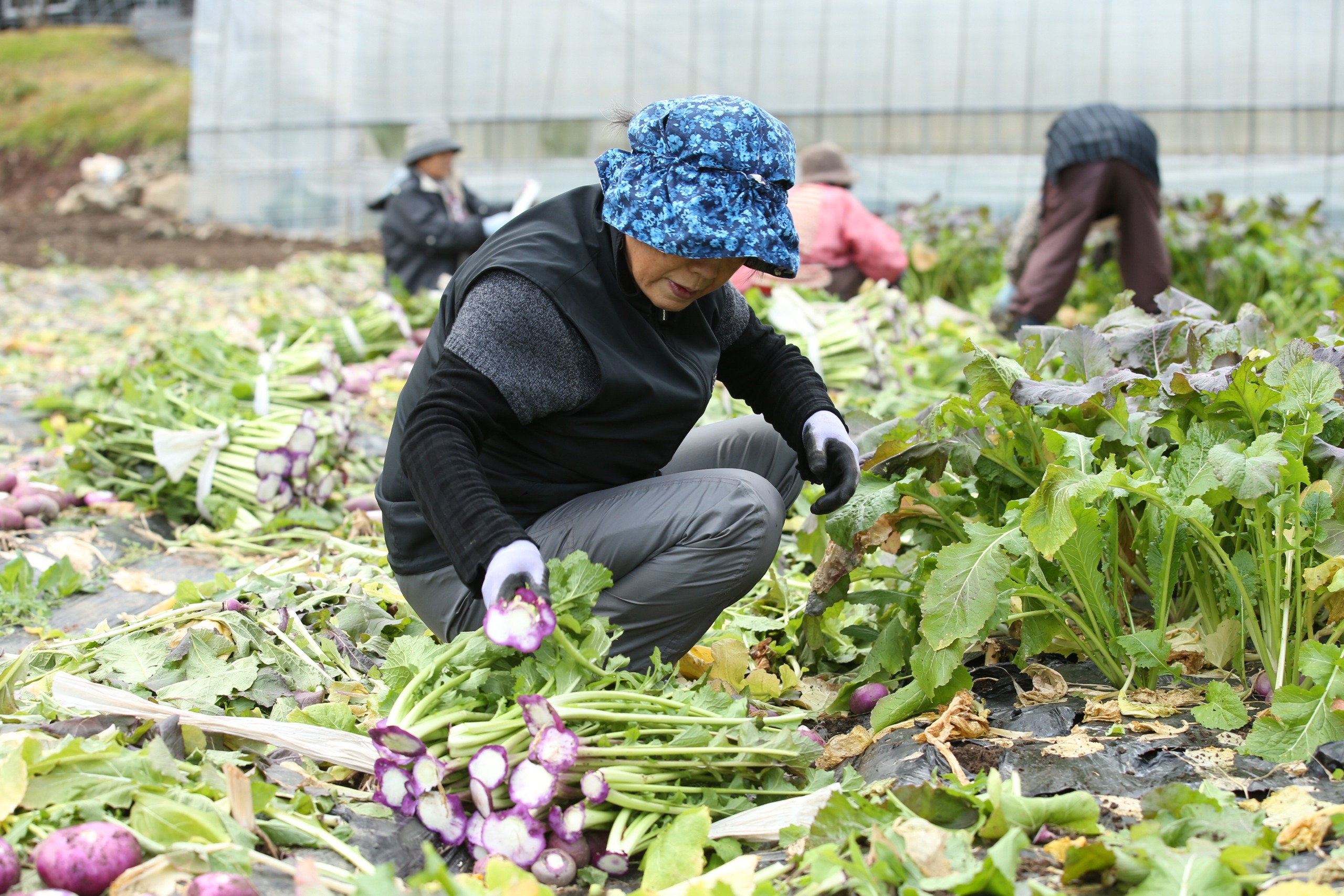 野口廣子さん画像